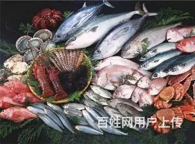 宏鸿集团水产配送 - 图片 4