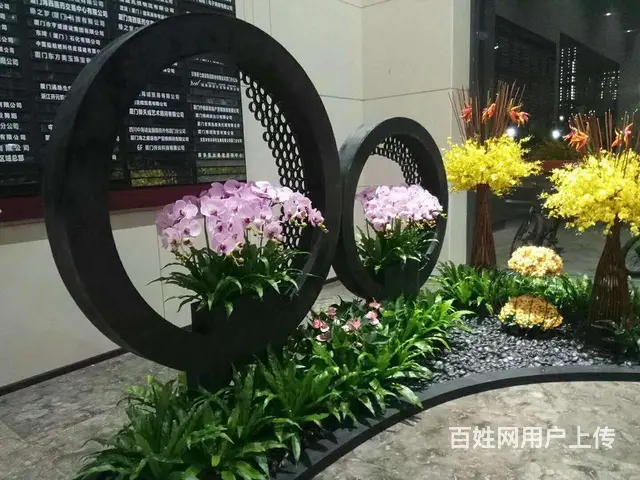厦门绿植租赁、绿化工程、绿植养护、办公室绿植 - 图片 8
