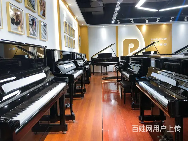 雅马哈YS5跟珠江EP2哪个好？什么区别 - 图片 2