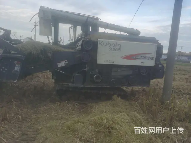 没割过水稻的久保田 - 图片 2