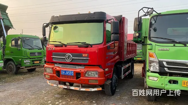 大量蓝牌自卸车 - 图片 4