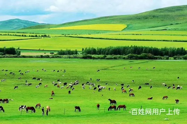 呼伦贝尔旅游向导推荐专业向导阿杰 - 图片 3