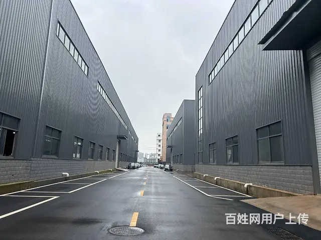 （老板本人）浏阳淳口新建标准厂房仓库出租  6471 - 图片 4