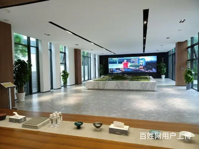 开发商清盘5折出售，富春硅谷独栋写字楼，赠送1000方花园 - 图片 7