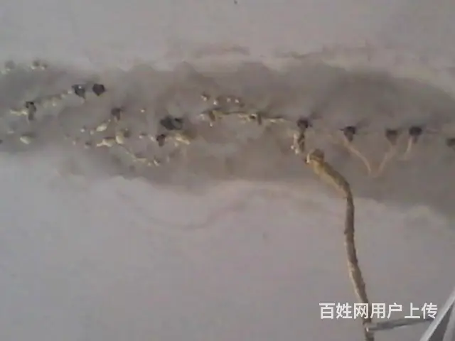 苏州专业房屋补漏做防水师傅电话 阳光房防水屋顶防水 - 图片 3