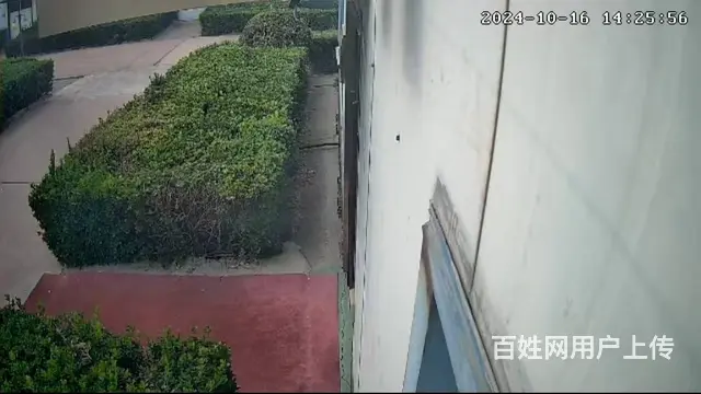 全新中型自动化酒厂寻求转让或合作 - 图片