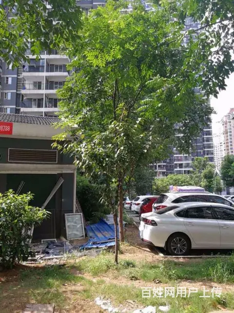 4号线铁机路站 东沙花园 独立电表 楚河汉街 岳家 - 图片 12