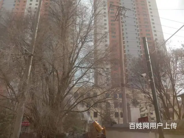 7581(七P）个人城北区纬二路26号新乐花园旁旺铺转让 - 图片 4