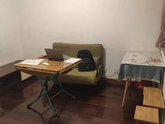 地铁房西荡苑(西湖-西溪) 普通住宅 精装修