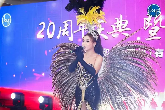 苏州庆典活动年会演艺节目礼仪模特摄影摄像灯光音响 - 图片 10