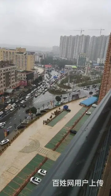 【有证】雷州城市广场出售，140平，实验小 - 图片 3