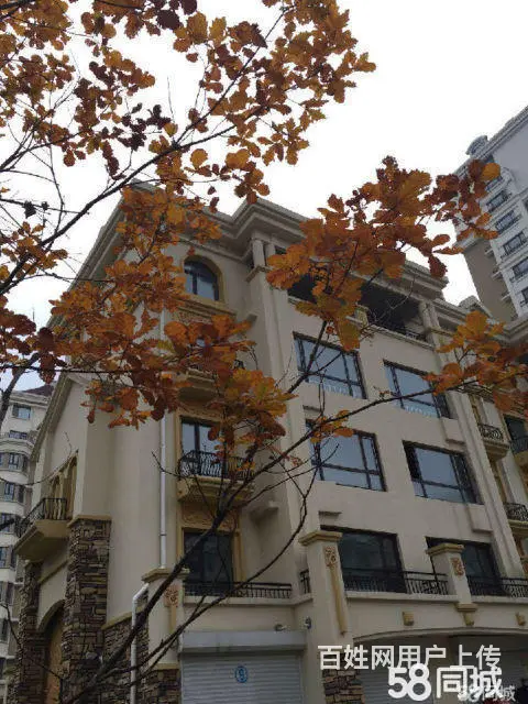 经典叠墅 赠送50平米 现房带车库 可贷款 稀缺户 - 图片 2