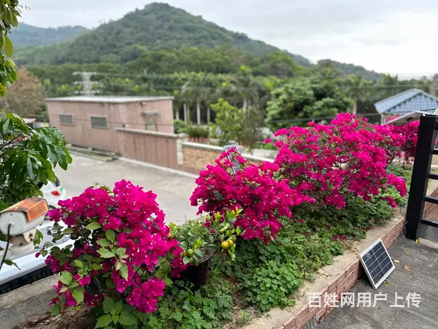 海景大宅 - 图片 11