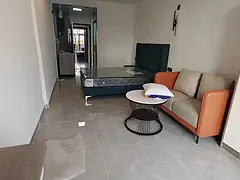 地铁房苹果公寓  精装修 大单间