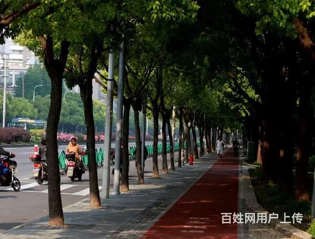临城县EPDM塑胶地面,彩色防滑地面 - 图片 3