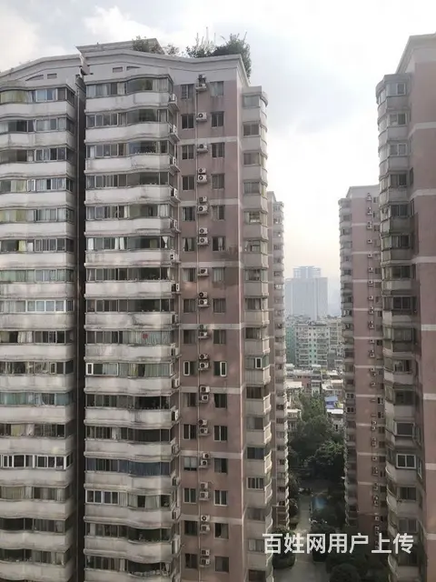 急租桐梓林人民南路新希望大厦旁丰德国际300平电梯 - 图片 4