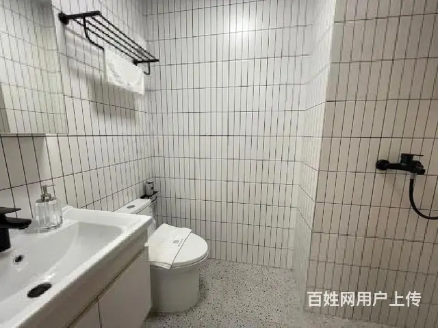 城芯大华龙悦公寓，精妆加推，低总价，限时送家电 - 图片 2