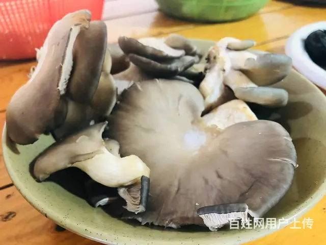 紫蓬山大锅灶做饭，紫蓬山大锅灶团建人均低至60 - 图片 8