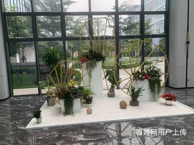 （51旺铺推荐）美兰区新埠岛碧桂园高端245平办公室出租 - 图片 4