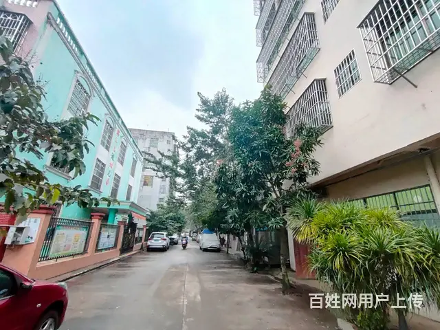 （51旺铺推荐）府城1500平整栋电梯房出租 - 图片 1