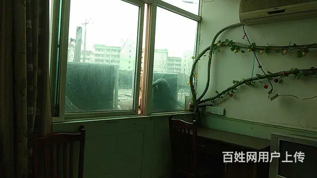 单间月租出租450元起 - 图片 6