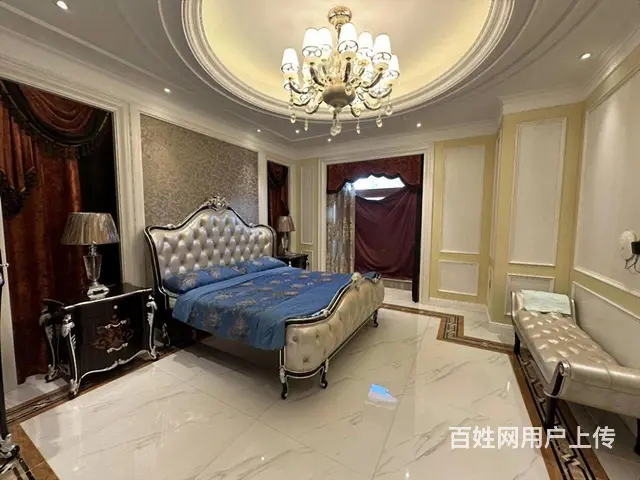 翠湖璞园别墅 只住一年 装修新 边户大花园 带车库 位置好 - 图片 4