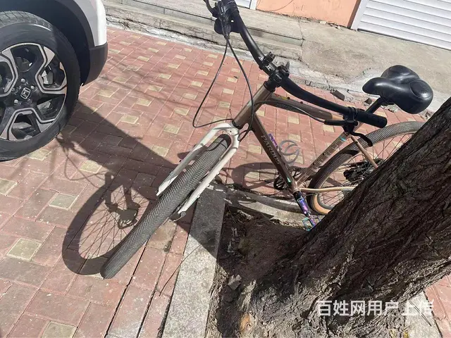 卖自行车 - 图片 9
