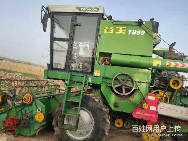 谷王 - 图片 2
