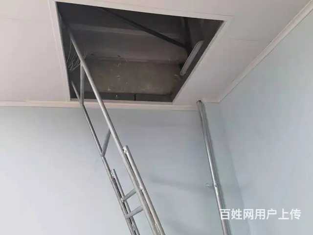 7404(七P)个人城中区七一路小学后门蔬菜水果店带生意转让 - 图片 5