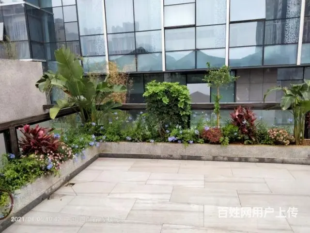 家庭庭院花园设计施工,养护 - 图片 2