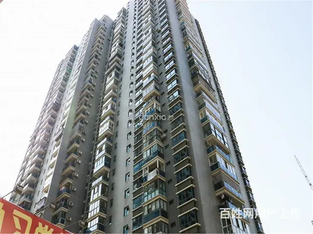 思北 禾祥首府 首次出租 精装 采光好 多套出租华侨海景城旁 - 图片 11
