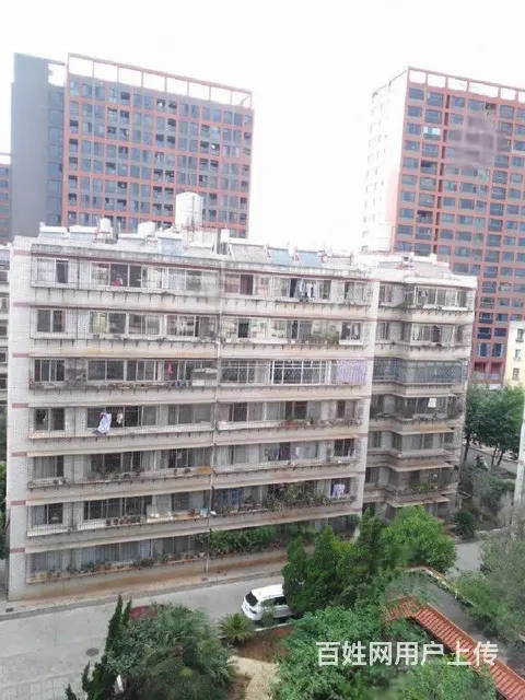 吴井路邮运小区精装3房 南北向 - 图片 9