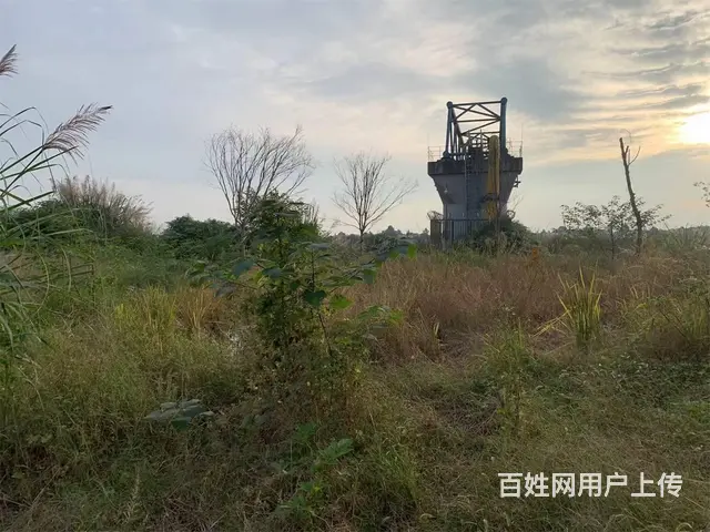 广汉西高镇5亩土地+库房出租 - 图片 8
