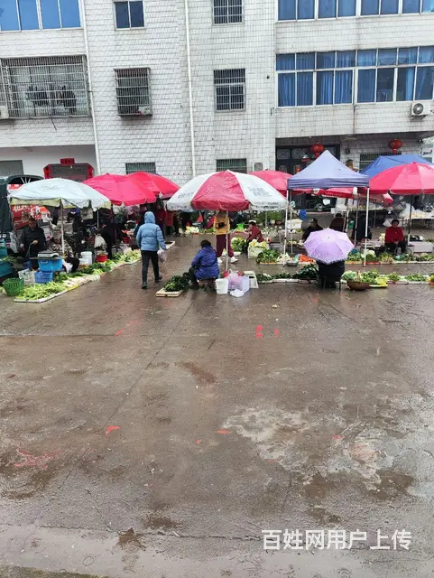 经营中雪糕店转让 - 图片 4
