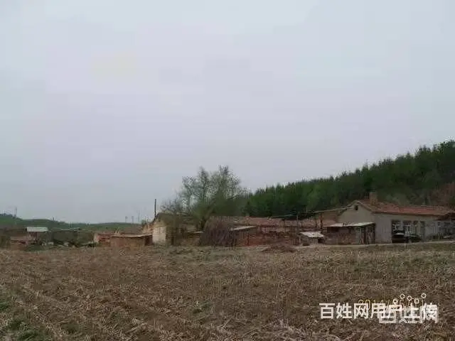 北大岭里面(原铁路青年点)养殖场 - 图片 2
