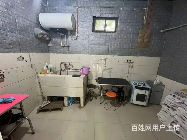 （弘扬快讯）东区城置经营6年宠物店转让，接手即干，生意稳定 - 图片 5