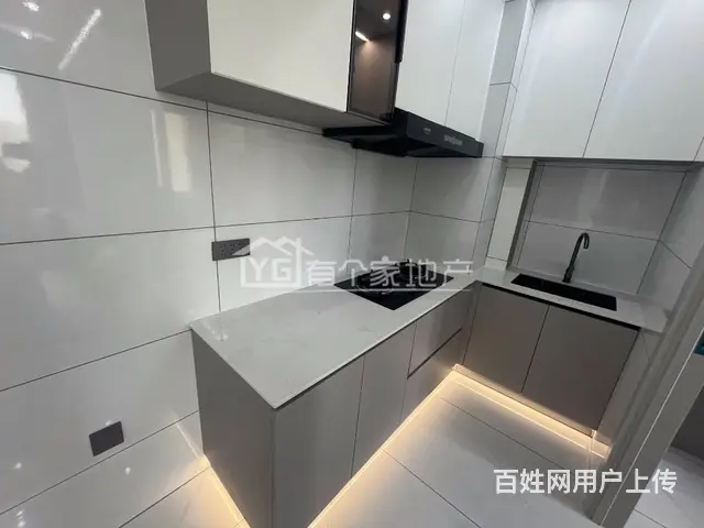 桐楠格领誉 普通住宅 中等装修 - 图片 1