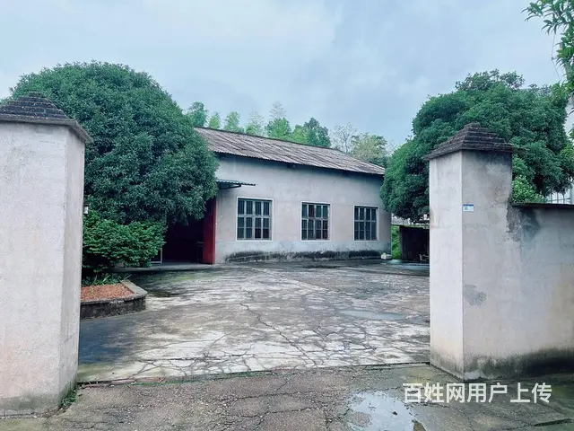 （老板本人）望城金洲大道附近独门独院厂房带场地出租 6515 - 图片 1