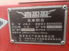 24年7月份喜盈盈5行玉米籽粒割台