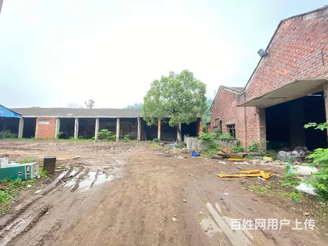 雨花区跳马洞株1200平厂房，带3000平场地出租/出售 - 图片 4
