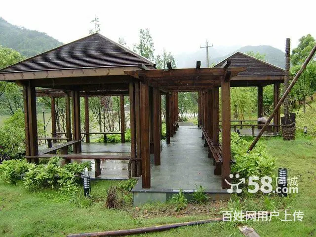 卖鹿粪鸡粪猪粪黑土花土假条茄子秧等 - 图片 4