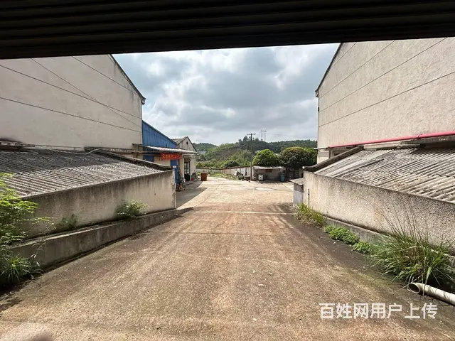 （老板本人）长沙县果园镇标准厂房/仓库出租  6271 - 图片 7