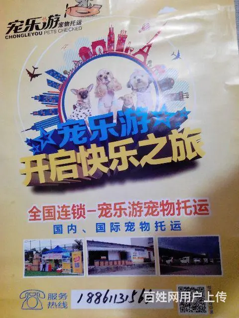 常州到宁波宠物快运18861131566 - 图片