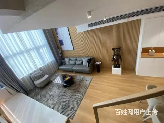 湖塘   春秋淹城旁首付20万璞越春秋挑高朝南现房 南北通透 - 图片 8