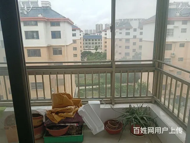  - 图片 1
