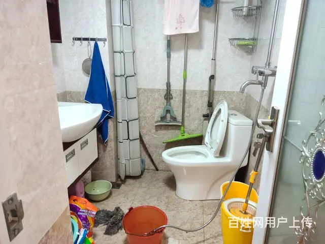 盛世庭园 普通住宅 精装修 - 图片 3