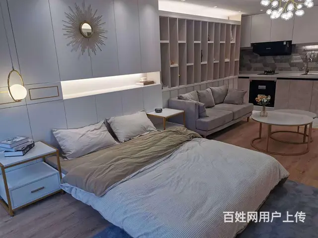 政务新区现房首付10万复式公寓苏滁汽车生活广场通燃气双层设计 - 图片 10