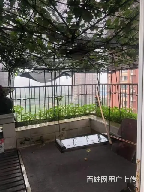 美林湖旁香树湾名苑复试 楼上楼下露台 空中花园 葡萄园 83 - 图片 2