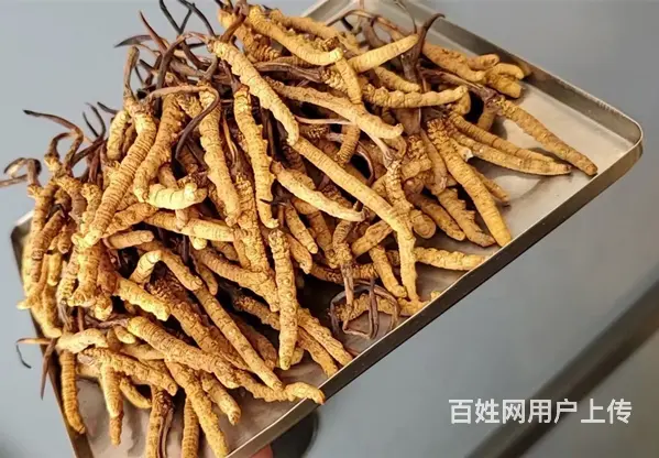磐安回收茅台酒-磐安烟酒回收实体店 - 图片 2