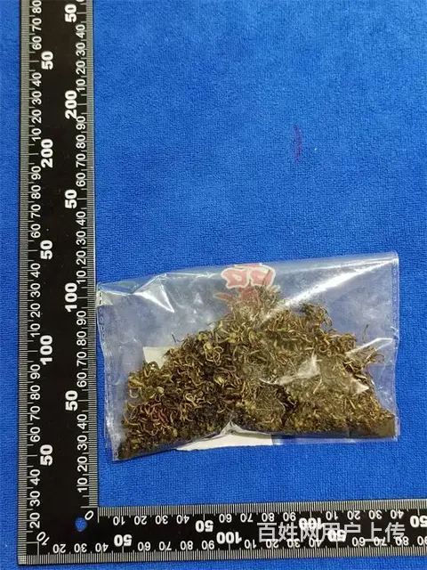 补气药成分检测 配方剖析 化验鉴定 - 图片